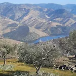 Homestay Casa Do Olival -