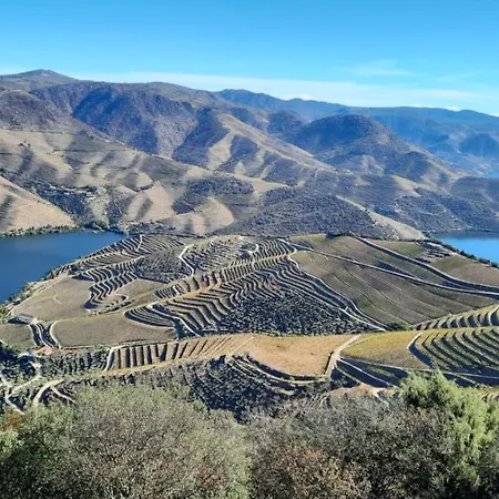 Andar Moradia T2 Na Casa Do Olival ホームステイ São João da Pesqueira