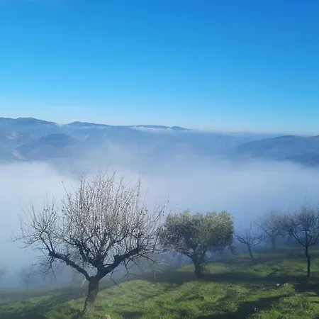 Andar Moradia T2 Na Casa Do Olival Δωμάτια σε οικογενειακή κατοικία