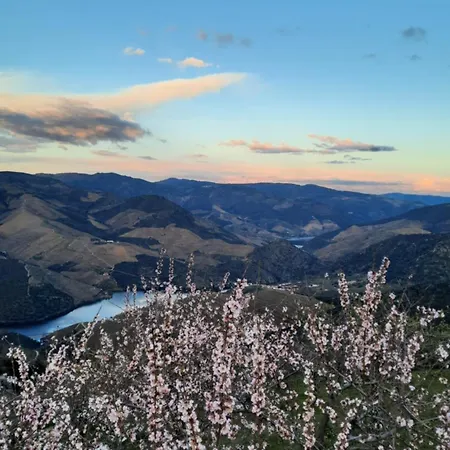 Andar Moradia T2 Na Casa Do Olival *