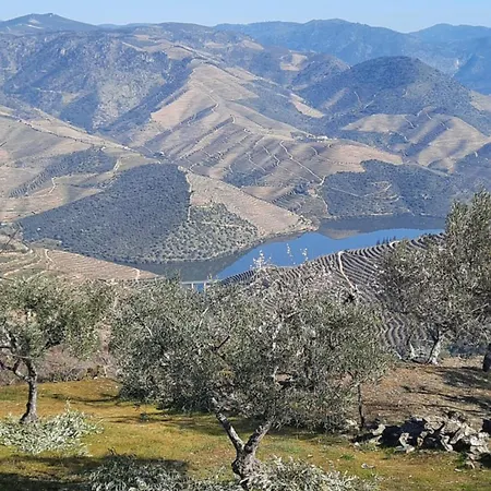 Δωμάτια σε οικογενειακή κατοικία Andar Moradia T2 Na Casa Do Olival