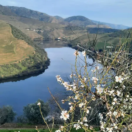 Andar Moradia T2 Na Casa Do Olival ホームステイ *