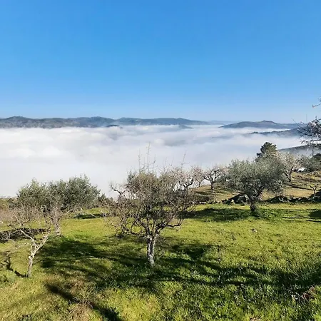 Andar Moradia T2 Na Casa Do Olival São João da Pesqueira