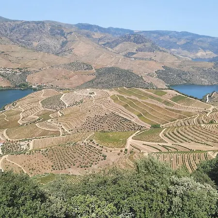 Andar Moradia T2 Na Casa Do Olival Δωμάτια σε οικογενειακή κατοικία *