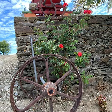Casa Do Olival - Andar Moradia T2 * Sao Joao da Pesqueira