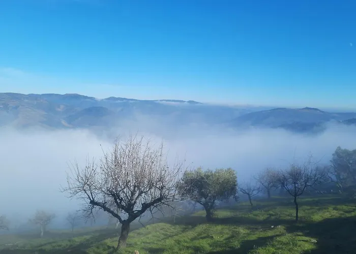 Andar Moradia T2 Na Casa Do Olival Privat bolig