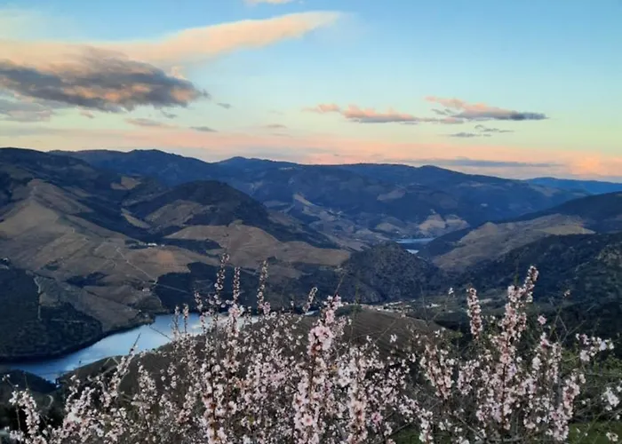 Andar Moradia T2 Na Casa Do Olival *