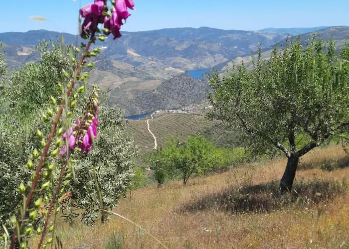 Andar Moradia T2 Na Casa Do Olival Privat bolig *