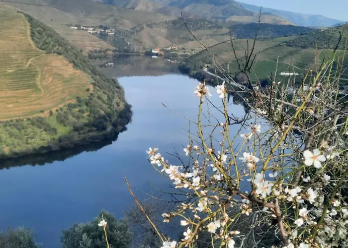 Andar Moradia T2 Na Casa Do Olival Privat bolig *