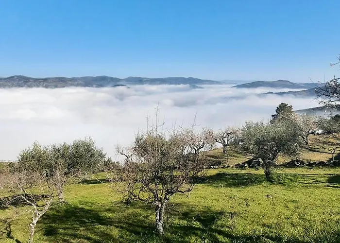 Andar Moradia T2 Na Casa Do Olival São João da Pesqueira