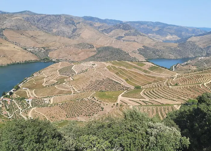 Andar Moradia T2 Na Casa Do Olival Privat bolig *