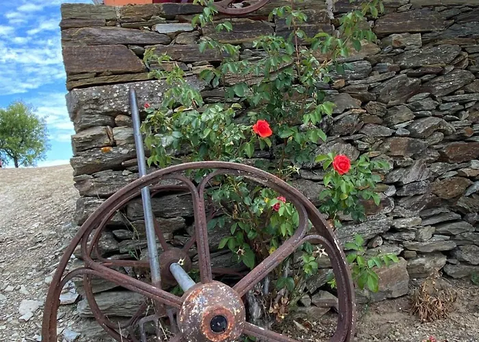 Andar Moradia T2 Na Casa Do Olival * São João da Pesqueira